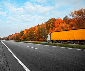 Tek Kullanımlık Ürünler